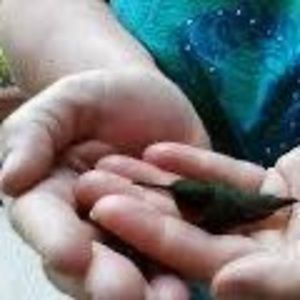 Meet your Posher, Debra